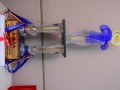 Tn 213 DSC 3161